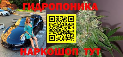 спиды Берёзовский