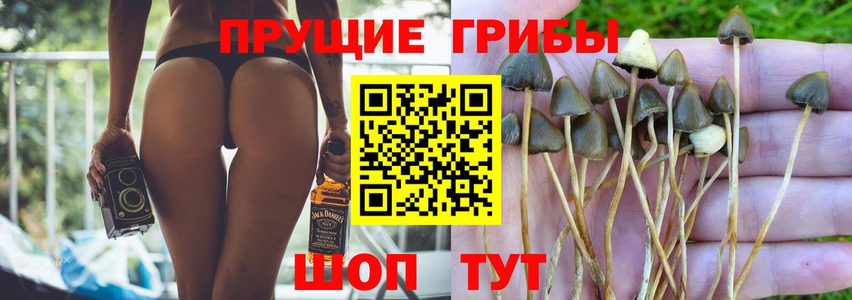 Галлюциногенные грибы MAGIC MUSHROOMS Киров