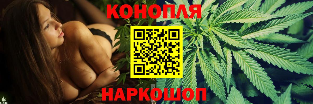 Каннабис конопля Киров